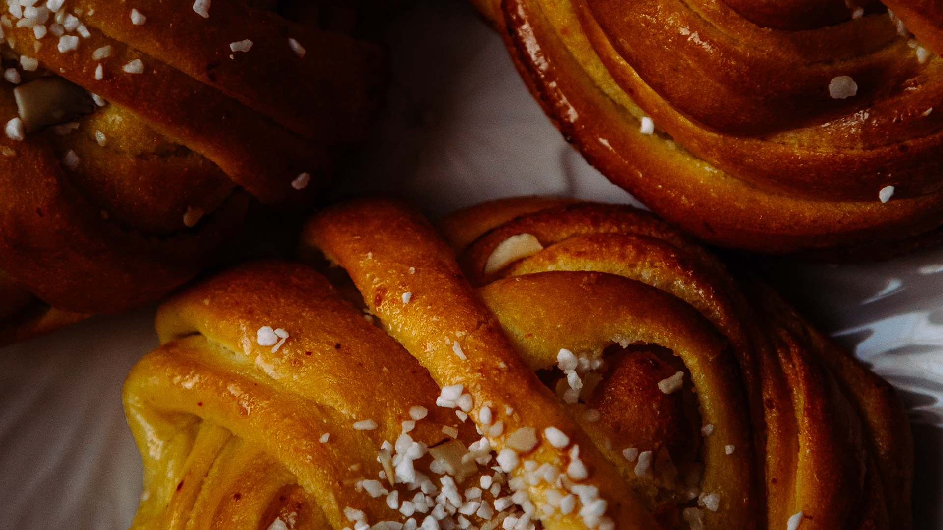 Contact Galbotanica Studio