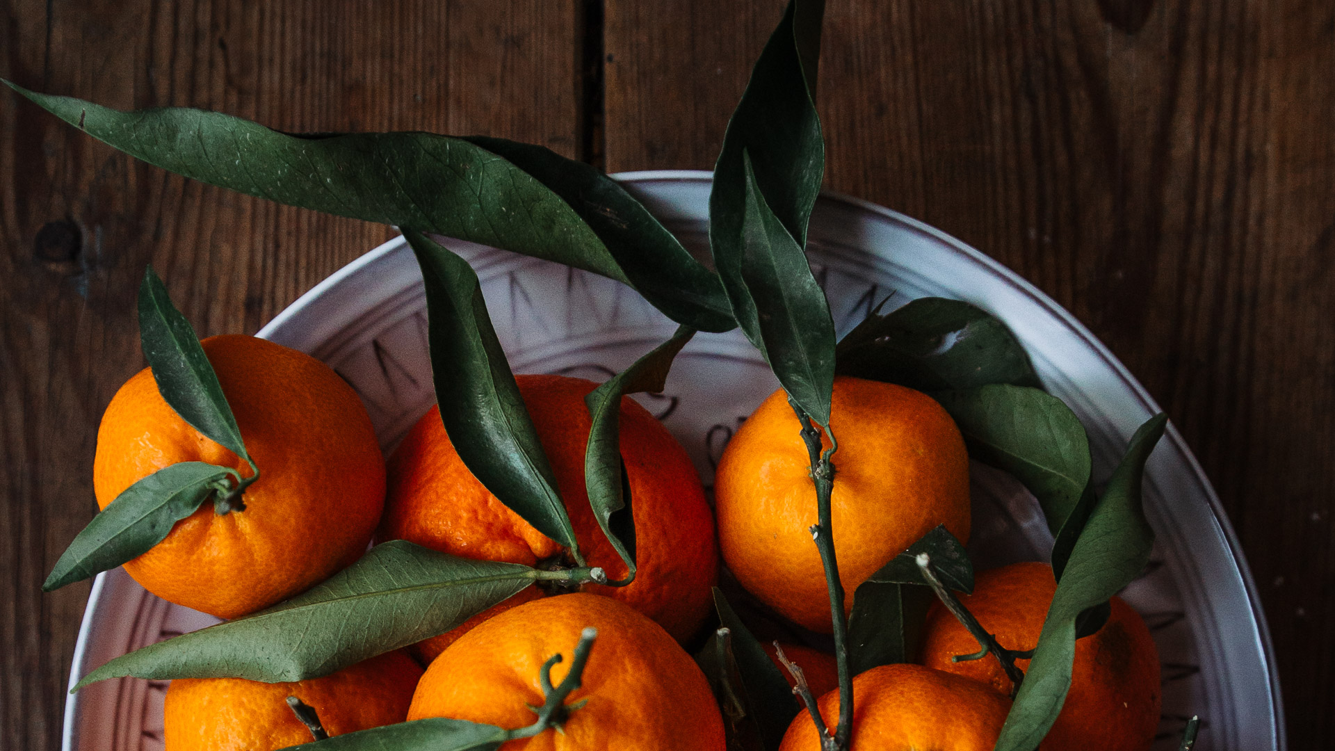 Galbotanica Studio Shop