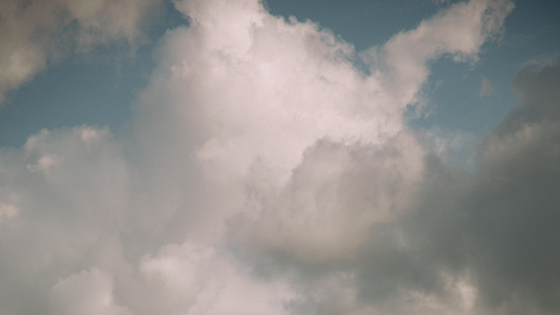 Galbotanica Studio Home